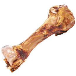 Schecker Kauknochen Dino Knochen aus Rind Monoprotein naturbelassen bis 1,5 kg - 1,5 kg – Bild 1 von 2