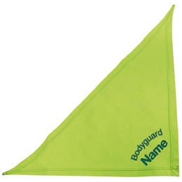 Produktbild von Schecker Kiwi Besticktes Hundehalstuch Bandana mit Bodyguard und Hundename in Grün 65cm