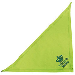 Produktbild von Schecker Kiwi Besticktes Hundehalstuch Prinzessin mit Krone in Grün 35 cm - 35 cm
