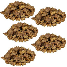 Produktbild von Schecker Knubbies Mini Fleischbits Hund Truthahn getreidefrei monoprotein 5 x 200g