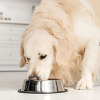 Produktbild von Schecker Nierenschonkost Diätfutter für Hunde proteinreduziertes Nassfutter 24x 410g - 24 x 410 g