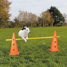 Schecker Pylonen-Hürde Agility-Gerät aus Kunststoff in Orange – Bild 1 von 2