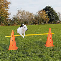 Produktbild von Schecker Pylonen-Hürde Agility-Gerät aus Kunststoff in Orange