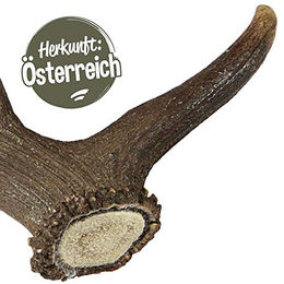 Schecker Rothirsch Geweihstange Naturkauartikel für Hunde Größe L 150-225g - 150 g – Bild 1 von 3