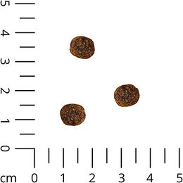 Schecker Trockenfutter Welpen Huhn mit hohem Geflügelfleischanteil 12 kg - 12 kg – Bild 1 von 4