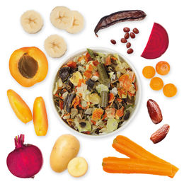 Schecker Veggie Mix Hundefutter mit Gemüse und Früchten getreidefrei Nahrungsergänzung 2 kg - 2 kg – Bild 1 von 6