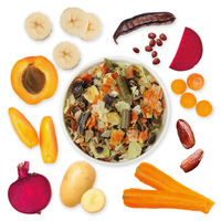 Produktbild von Schecker Veggie Mix Hundefutter mit Gemüse und Früchten getreidefrei Nahrungsergänzung 2 kg - 2 kg