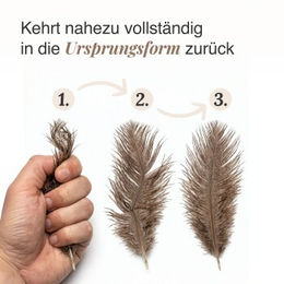 Schlitzohr Ersatzfedern für Katzenangel aus natürlichen Straußenfedern 5er Set – Bild 1 von 11
