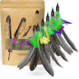 SCHLITZOHR Katzenangel Ersatzfedern Classic Bunt 5er Pack Naturmaterial – Bild 1 von 13