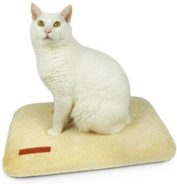 Schlitzohr Katzenkissen Teddy aus Plüsch in Beige – Bild 1 von 12