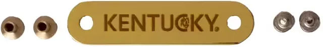 Produktbild von Schnallenschild Kentucky Horsewear Gold für Pony
