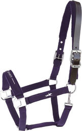Schockemöhle HW 2026 Halfter Memphis III Breakaway Dark Purple Größe WB – Bild 1 von 1