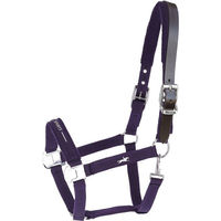 Produktbild von Schockemöhle HW 2026 Halfter Memphis III Breakaway Dark Purple Größe WB XL