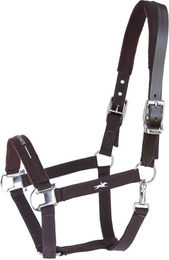Schockemöhle HW 2026 Halfter Memphis III Breakaway Mocca Größe WB – Bild 1 von 1