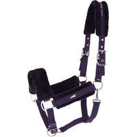 Produktbild von Schockemöhle HW 2026 Halfter SP Melbourne Soft Dark Purple Größe P2