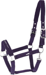 Schockemöhle HW 2026 Halfter SP Memphis III Dark Purple Größe P2 – Bild 1 von 1