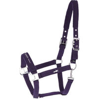 Produktbild von Schockemöhle HW 2026 Halfter SP Memphis III Dark Purple Größe WB