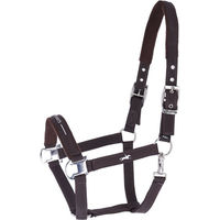 Produktbild von Schockemöhle HW 2026 Halfter SP Memphis III Mocca Größe WB XL