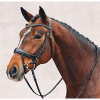 Produktbild von Schockemöhle Equitus Beta Trense Anatomische Leder Trense Schwarz FEI Warmblut