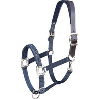 Produktbild von Schockemöhle Halfter SP Memphis Breakaway aus Nylon für Warmblut in Schwarz und Blau