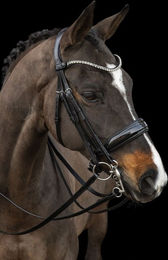 Schockemöhle Kandarenzaum SP Milazzo Premium Line mit schmallem Stirnband aus Leder für Warmblut in Schwarz oder Grau – Bild 1 von 3