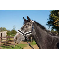 Produktbild von Schockemöhle Longe Reiten Panic Halfter und Stricke aus Nylon für Ponys in Schwarz