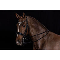 Produktbild von Schockemöhle Milan Glam Kandare für Warmblut in Schwarz-Silber