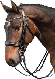 Schockemöhle Milton Kandare anatomische Reitzügel aus Leder in Schwarz und Silber für Warmblut – Bild 1 von 2