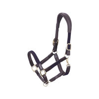 Produktbild von Schockemöhle RS Braidy Anatomisches Lederhalfter für Pferde in Schwarz