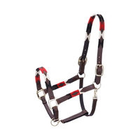 Produktbild von Schockemöhle RS Polo Lederhalfter bunt