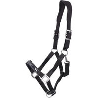 Produktbild von Schockemöhle Sports Acron Pferdehalfter aus Nylon in XFull