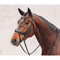 Produktbild von Schockemöhle Sports Equitus Beta Trense Anatomic Line aus Leder Schwarz Silber XL