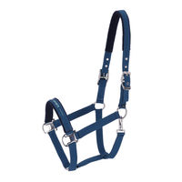 Produktbild von Schockemöhle Sports Halfter Memphis Style III aus Nylon in Blau
