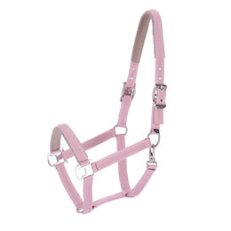 Produktbild von Schockemöhle Sports Halfter Memphis Style III aus Nylon in Rosa