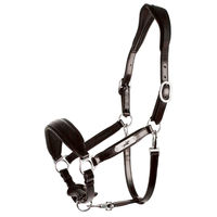 Produktbild von Schockemöhle Sports Lederhalfter SP Fremont Pro für Vollblut aus Leder