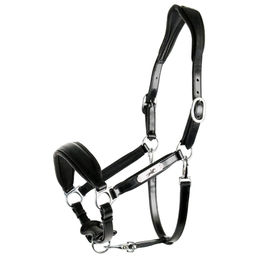 Schockemöhle Sports Lederhalfter SP Fremont Pro für Vollblut in Schwarz/Silber – Bild 1 von 2