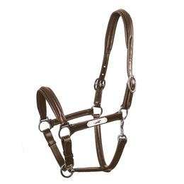Schockemöhle Sports Lederhalfter SP Ulm Pro für Vollblut in Braun mit Silber – Bild 1 von 2