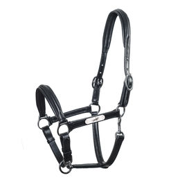 Schockemöhle Sports Lederhalfter SP Ulm Pro für Warmblut in Schwarz mit Silber – Bild 1 von 2
