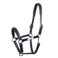 Produktbild von Schockemöhle Sports Lederhalfter SP Ulm Pro für Warmblut in Schwarz mit Silber