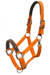 Schockemöhle Sports Memphis Halfter aus Nylon in Orange für Warmblut – Bild 1 von 5