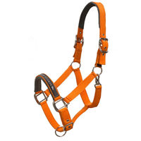 Produktbild von Schockemöhle Sports Memphis Halfter aus Nylon in Orange für Warmblut