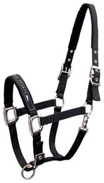 Schockemöhle Sports Memphis Halfter aus Nylon in Schwarz für Warmblut – Bild 1 von 2