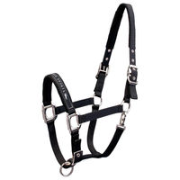 Produktbild von Schockemöhle Sports Memphis Halfter aus Nylon in Schwarz für Warmblut