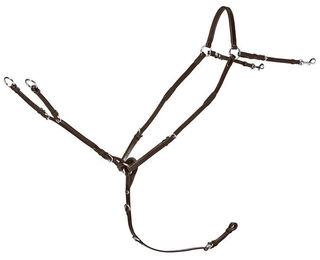 Produktbild von Schockemöhle Sports Vorderzeug Race II aus Leder für Vollblut in Braun mit Silber
