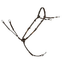Produktbild von Schockemöhle Sports Vorderzeug SP Sevilla Select aus Leder mit austauschbaren Elementen in Braun und Silber für Warmblut Pferde