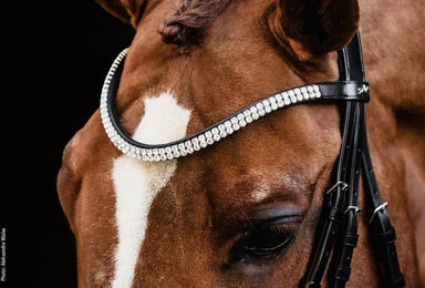 Produktbild von Schockemöhle Stirnband SP Valencia aus Leder in Schwarz und Grau für Warmblut Pferde