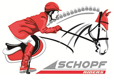 Schopf Riders Cordoba Lederbalsam mit Bienenwachs zur Sattelpflege 300 ml - 300 ml – Bild 1 von 3