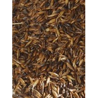 Produktbild von Schuwer Mühle Schwarzhafer Einzelfuttermittel 25 kg