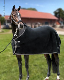 Schwarze Equestrian Abschwitzdecke Schwarz – Bild 1 von 1
