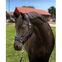 Produktbild von Schwarze Equestrian Halfter und Strick Set Navy Blau aus Nylon